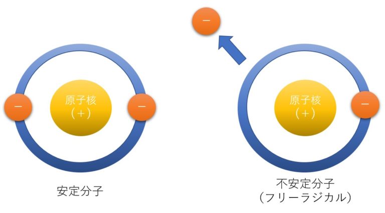 酸化ストレスとは｜活性酸素とフリーラジカルについて | セカンドオピニオン.com